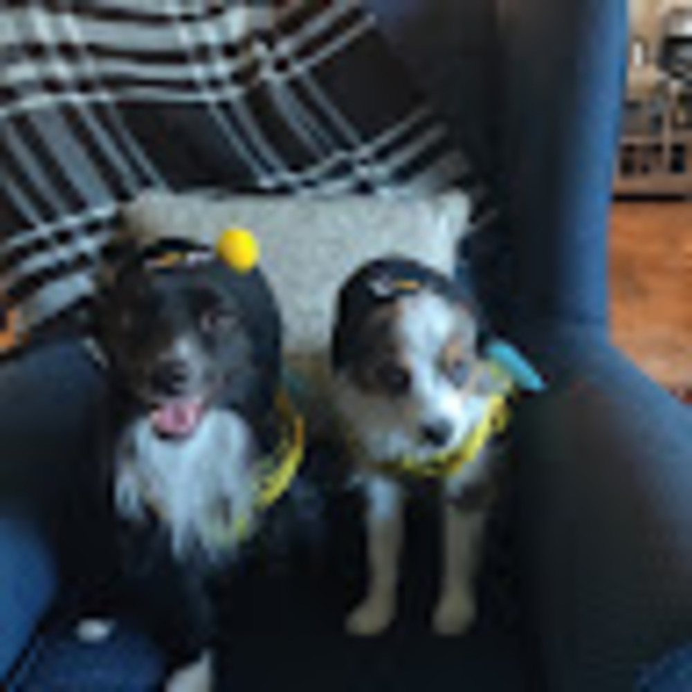 Meet your Posher, Sofía